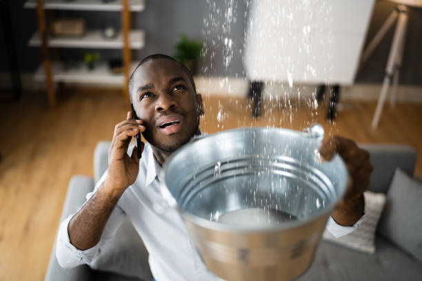 Best 24-hour water damage restoration  in Alum Creek, WV