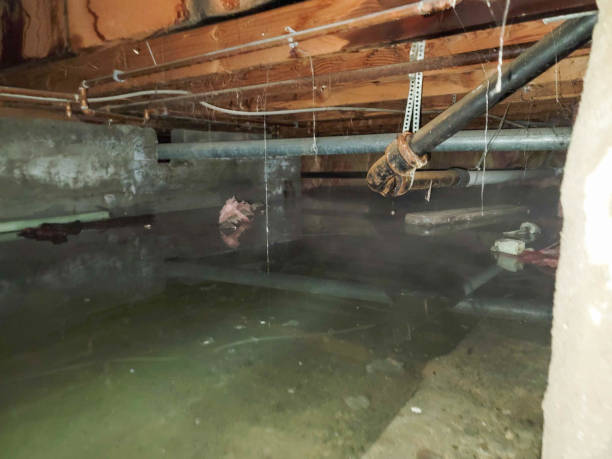 Best Fire Damage Restoration  in Alum Creek, WV