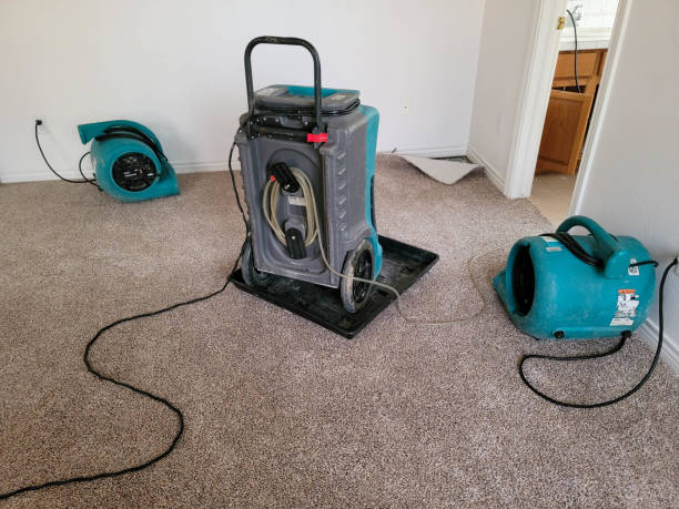 Best Flood damage cleanup  in Alum Creek, WV