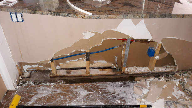 Best Flood restoration services  in Alum Creek, WV
