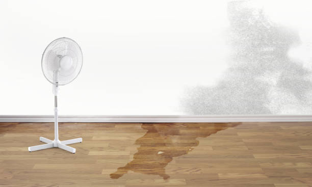 Best Water damage restoration near me  in Alum Creek, WV