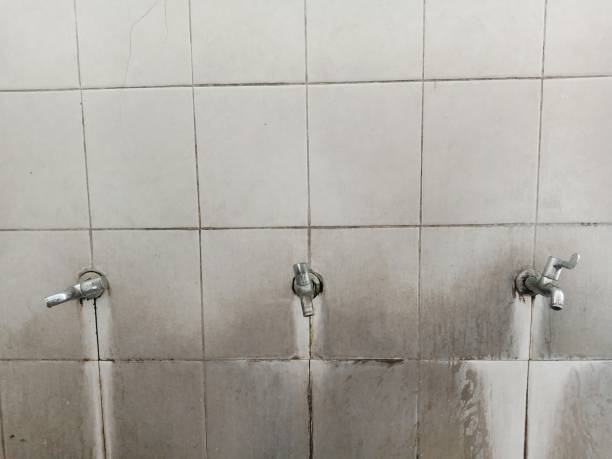 Best Water damage contractors near me  in Alum Creek, WV