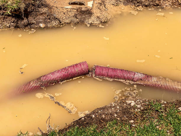 Best Residential water damage restoration  in Alum Creek, WV