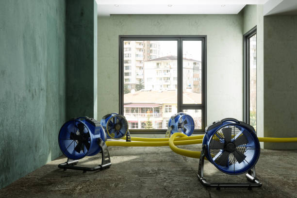 Best Commercial water damage restoration  in Alum Creek, WV